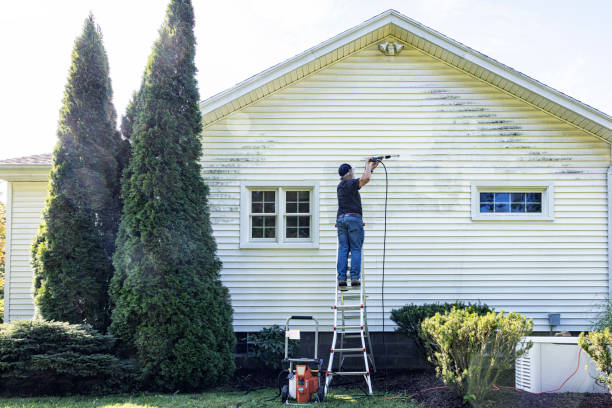 Best Gutter Cleaning in Brooks, KY